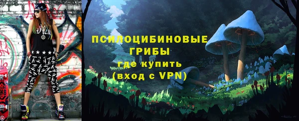 2c-b Верея