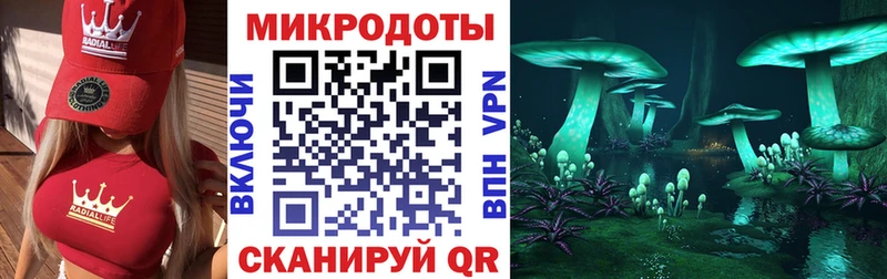 Купить где  Новодвинск  Псилоцибиновые грибы Cubensis 