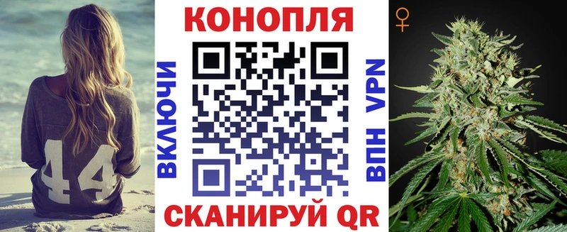 Купить где  Новодвинск  Бошки марихуана AK-47 